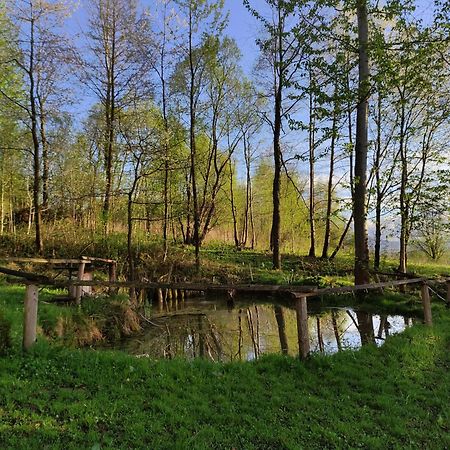 Agroturystyka Zielona Dolinka Stryszow Bagian luar foto