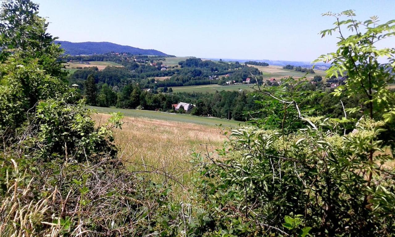 Agroturystyka Zielona Dolinka Stryszow Bagian luar foto