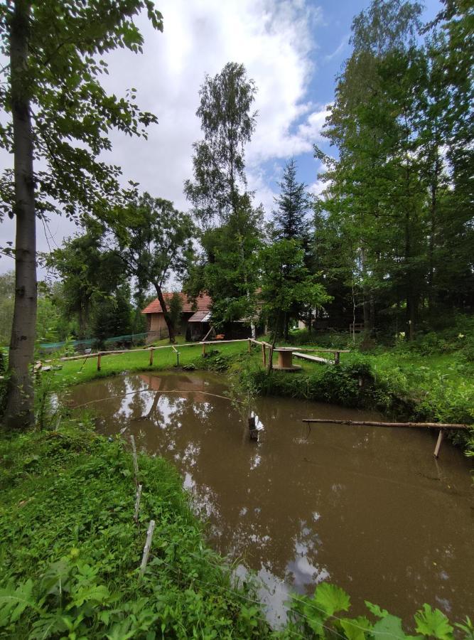 Agroturystyka Zielona Dolinka Stryszow Bagian luar foto