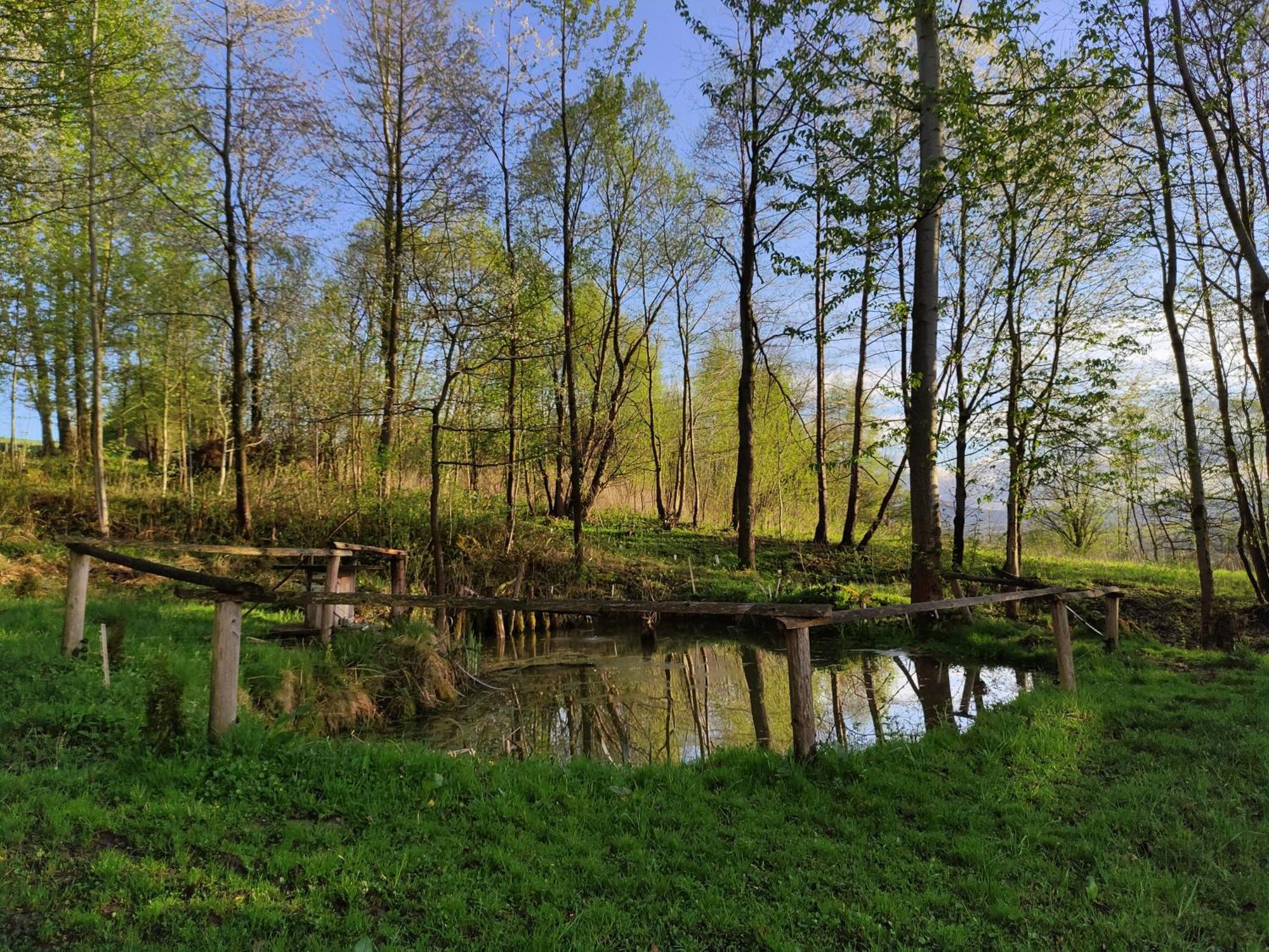 Agroturystyka Zielona Dolinka Stryszow Bagian luar foto